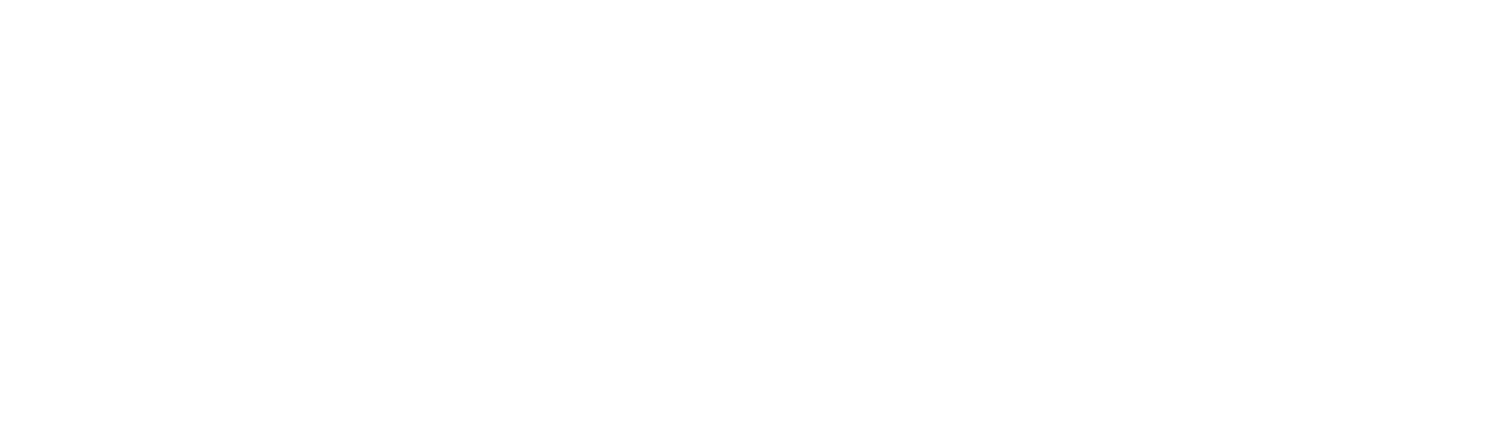 Asset 4